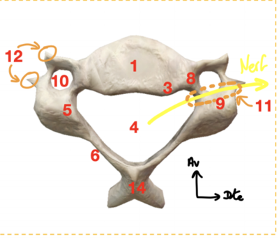 Capture d’écran (382).png