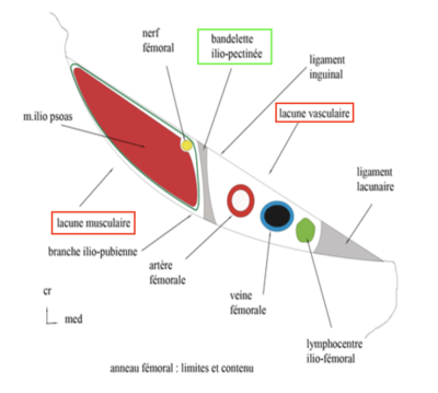 Capture d’écran 2021-04-16 à 17.34.54.png