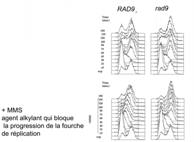 Capture d’écran 2021-04-17 à 15.02.07.png