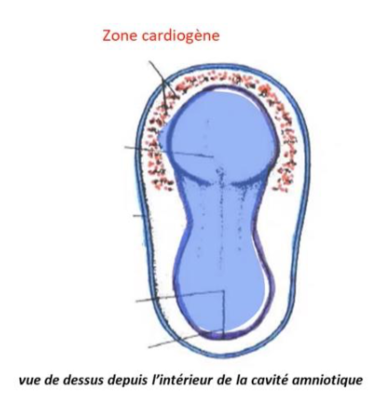 Capture d’écran 2021-04-18 à 14.49.43.png