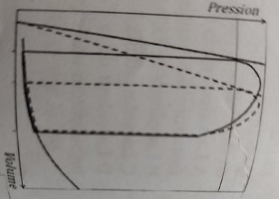 biophy 2015-2016.jpg