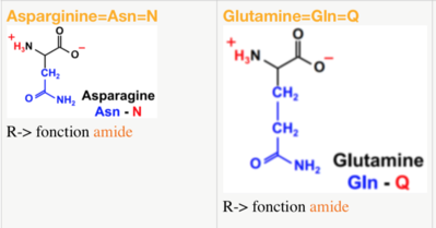 Glutamine.png