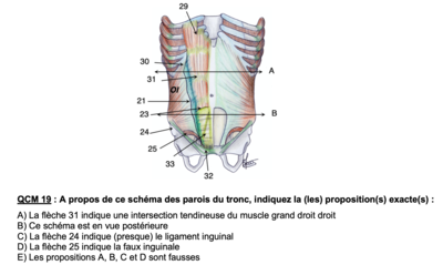 Capture d’écran 2021-04-19 à 10.24.57.png
