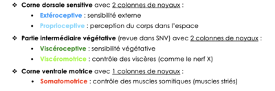 Capture d’écran 2021-04-19 à 21.56.02.png