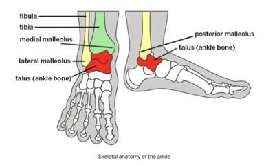 Capture d’écran 2021-04-19 à 23.30.45.png
