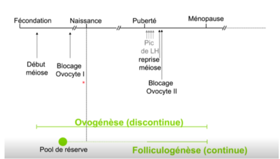 Capture d’écran 2021-04-20 à 12.36.04.png