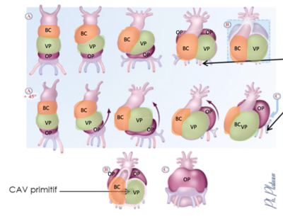 Capture d’écran 2021-04-20 à 13.52.21.png