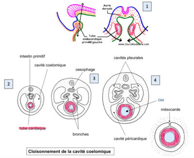 Capture d’écran 2021-04-20 à 14.36.09.png