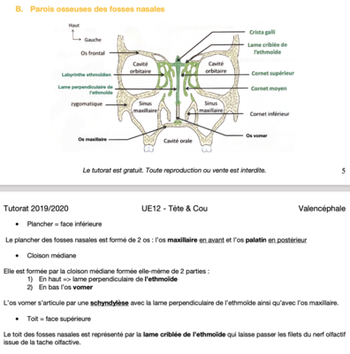 Capture d’écran 2021-04-20 à 19.39.39.png