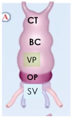 Capture d’écran 2021-04-22 à 21.55.05.png