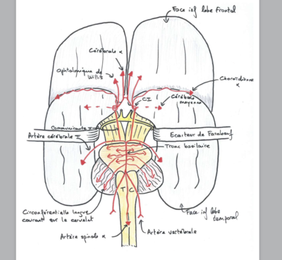 Capture d’écran 2021-04-22 à 22.17.35.png