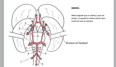 Capture d’écran 2021-04-22 à 22.17.59.png