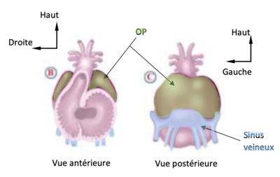 Capture d’écran 2021-04-23 à 10.10.37.png