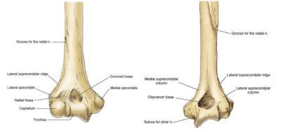 Capture d’écran 2021-04-23 à 23.37.59.png