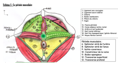 Capture d’écran 2021-04-09 à 14.06.19.png