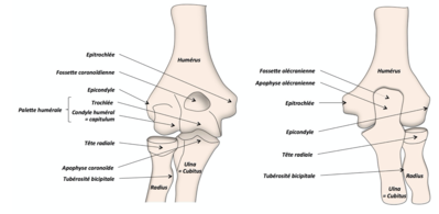 Capture d’écran 2021-04-24 à 20.37.56.png