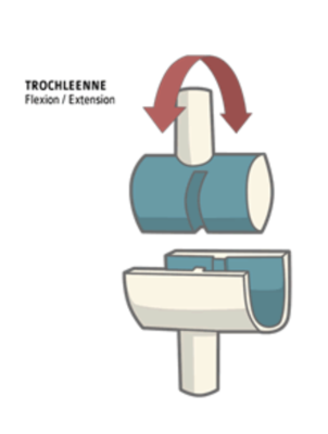Capture d’écran 2021-04-24 à 20.41.55.png