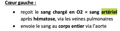 Capture d’écran 2021-04-25 à 19.21.39.png