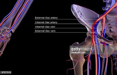 gettyimages-87377010-612x612 copie.jpg