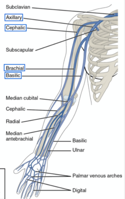 Capture d’écran 2021-04-26 à 08.56.35.png