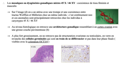 Capture d’écran 2021-04-26 à 10.33.19.png