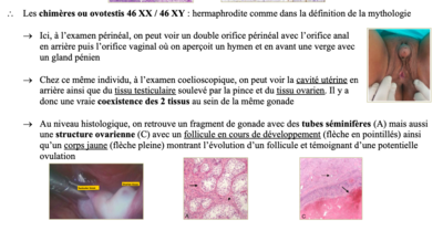 Capture d’écran 2021-04-26 à 10.33.33.png