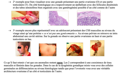 Capture d’écran 2021-04-26 à 10.33.44.png