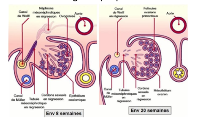 Capture d’écran 2021-04-26 à 20.10.23.png