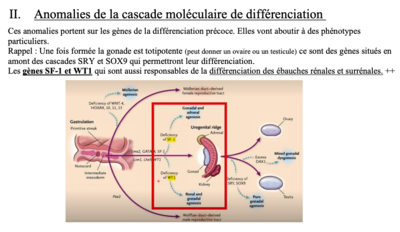 Capture d’écran 2021-04-26 à 23.54.21.png