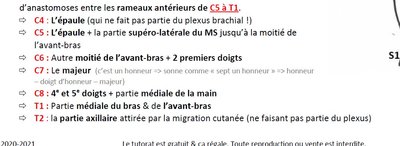 dermatome tégument.JPG