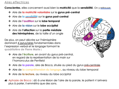 Capture d’écran 2021-04-27 à 21.44.04.png