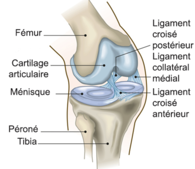 Capture d’écran 2021-04-28 à 00.37.30.png
