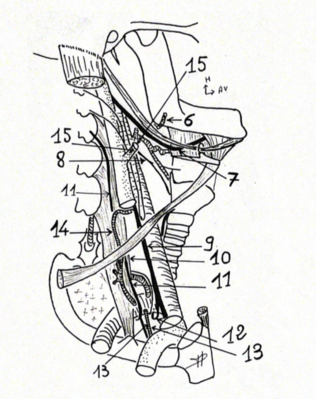 Capture d’écran 2021-04-28 à 19.01.12.png