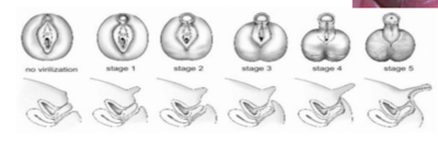 Capture d’écran 2021-04-28 à 20.51.17.png