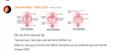 Capture d’écran 2021-04-29 à 22.00.02.png