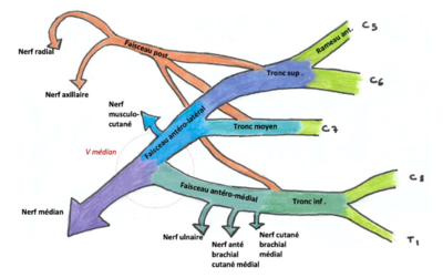 Capture d’écran 2021-04-30 à 10.57.55.png