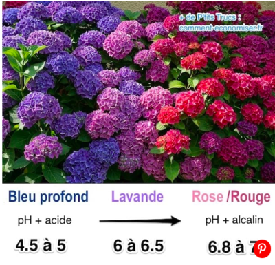 Capture d’écran 2021-04-30 à 11.14.29.png