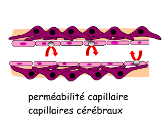 Capture d’écran (471).png