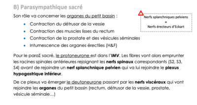 Capture d’écran 2021-05-01 à 10.04.36.png