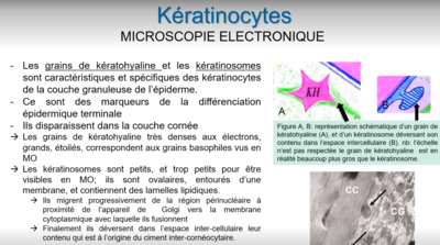 Capture d’écran 2021-05-07 à 21.56.24.png