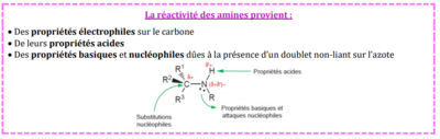 réactivité des amines.PNG