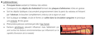 L'athérosclérose.jpg