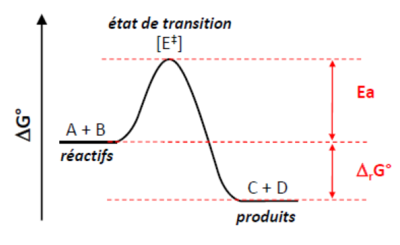 etat de transition.png