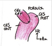 Image 22-03-2021 à 23.16.jpg