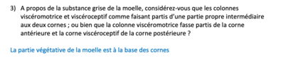 Capture d’écran 2021-05-09 à 07.56.27.png