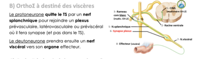 Capture d’écran 2021-05-09 à 10.51.50.png
