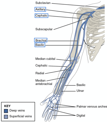 Capture d’écran 2021-02-07 à 18.47.11.png
