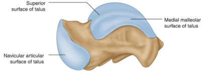 Capture d’écran 2021-05-09 à 22.11.54.png