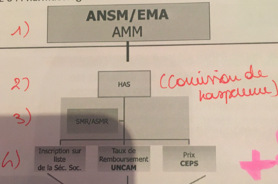 Capture d’écran 2021-05-10 à 09.34.27.png