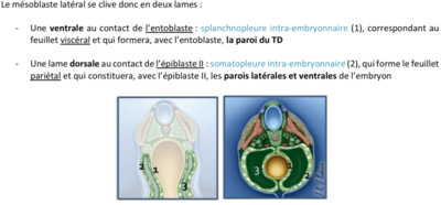 Capture d’écran 2021-05-10 à 13.46.01.png